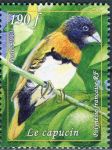 (2013) MiNr. 1221 ** - Fr. Polynesien - Braunbrustschilffink (Lonchura castaneothorax)