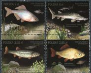 (2016) MiNr. 4861 - 4864 ** - 2 + 2,5 + 3,7 + 6 Zl - Polen - Gefährdete Fischarten