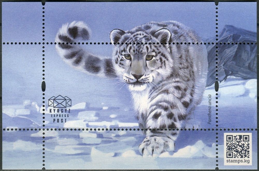 Kyrgyzstán - BLOCK - Sněžný Leopard