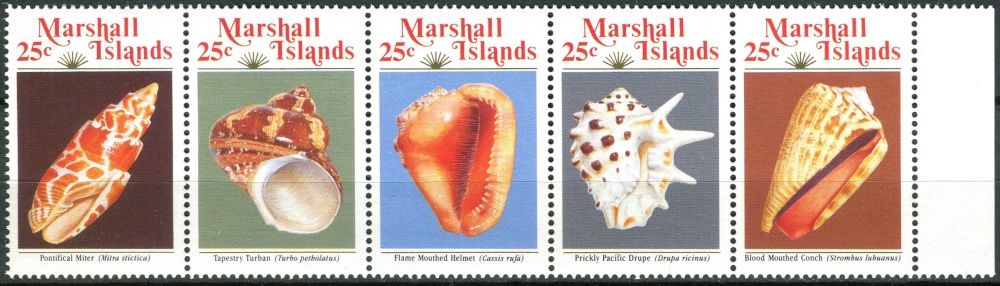 (1989) MiNr. 212 - 216 ** - Marshallovy ostrovy - 5-pá - mořští plži 