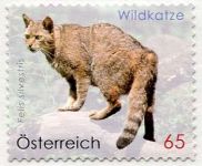 (2010) Nr. 2849 ** - Österreich - Wildkatze