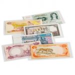 Banknoten-Schutzhüllen, BASIC 204 (204x123 mm)