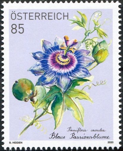 (2020) MiNr. 3510 ** - Österreich - Abonnementmarke: Passionsblume (Passiflora caerulea)