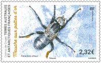 (2023) MiNr. 1177 ** - Francouzská Antarktida - Zlatonohá moucha
