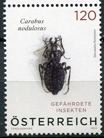 (2024) MiNr. 3784 ** - Rakousko - Hmyz (II.) - Černý brouk